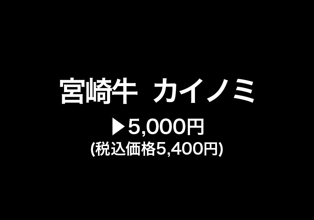 【不定貫】宮崎牛 カイノミ 5,000円(税込価格5,400円)